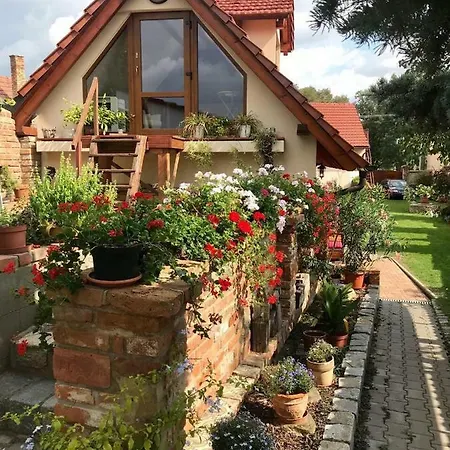 Apartman Vinare / At Winemaker'S Rohatec Exterior photo