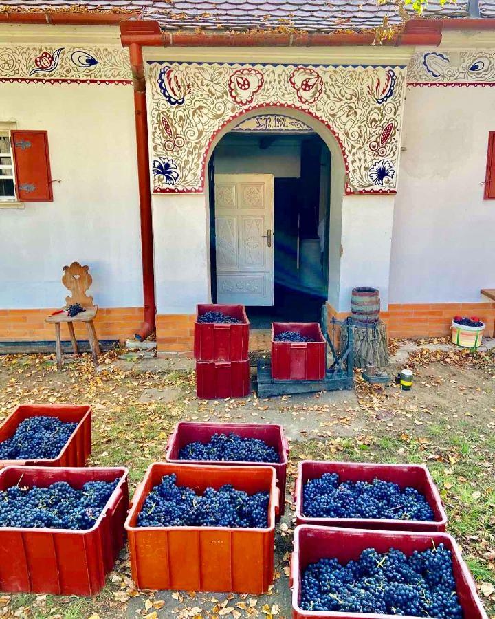 Vinare / At Winemaker's * Rohatec