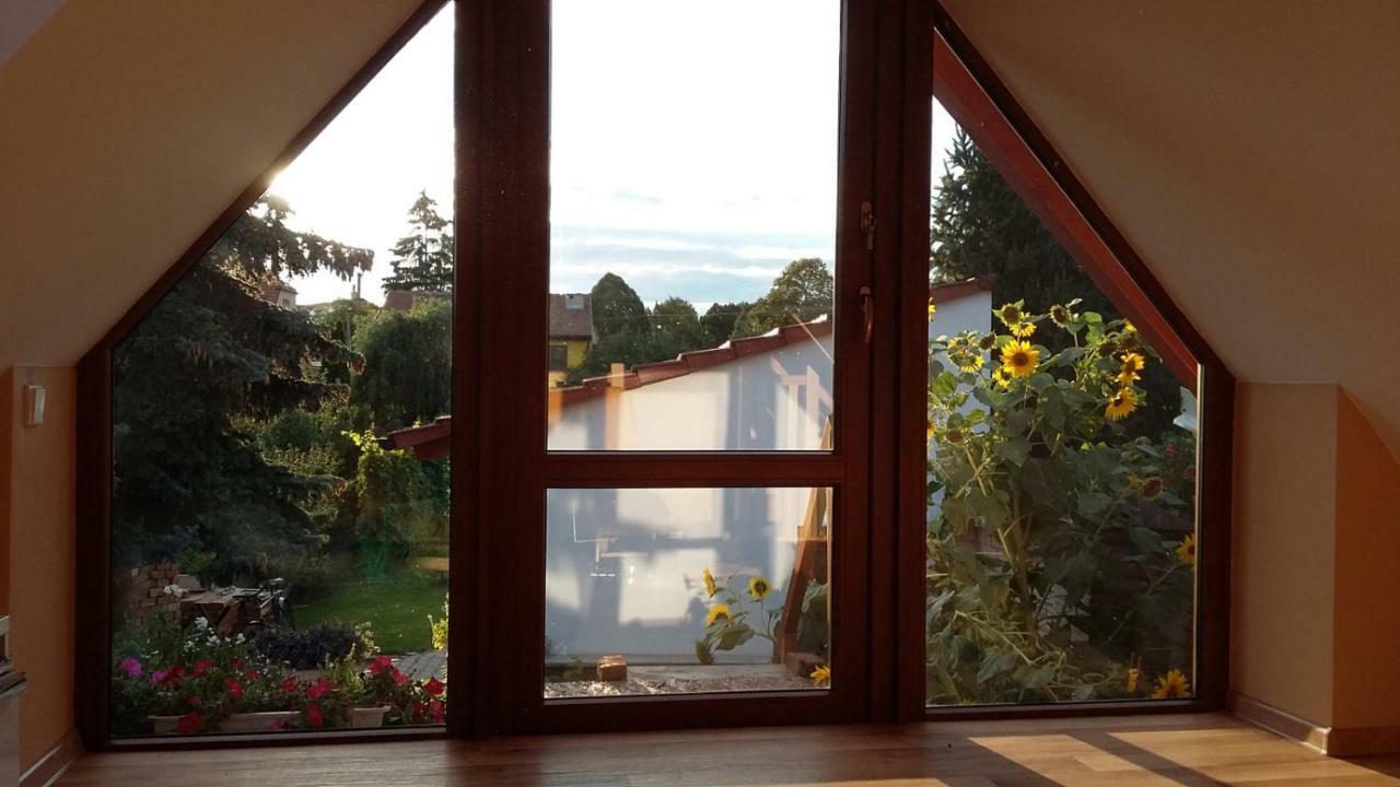 Apartment Vinare / At Winemaker's