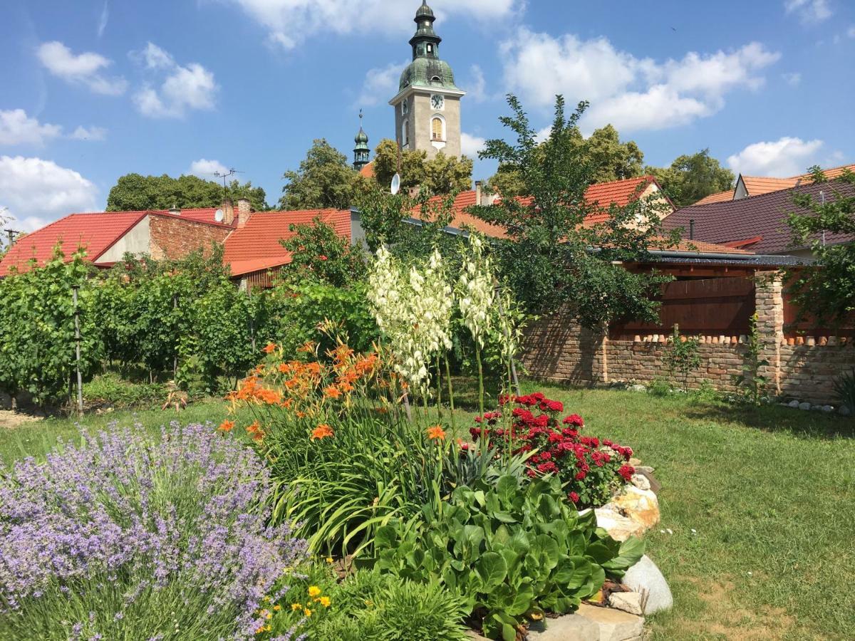 Vinare / At Winemaker's Rohatec