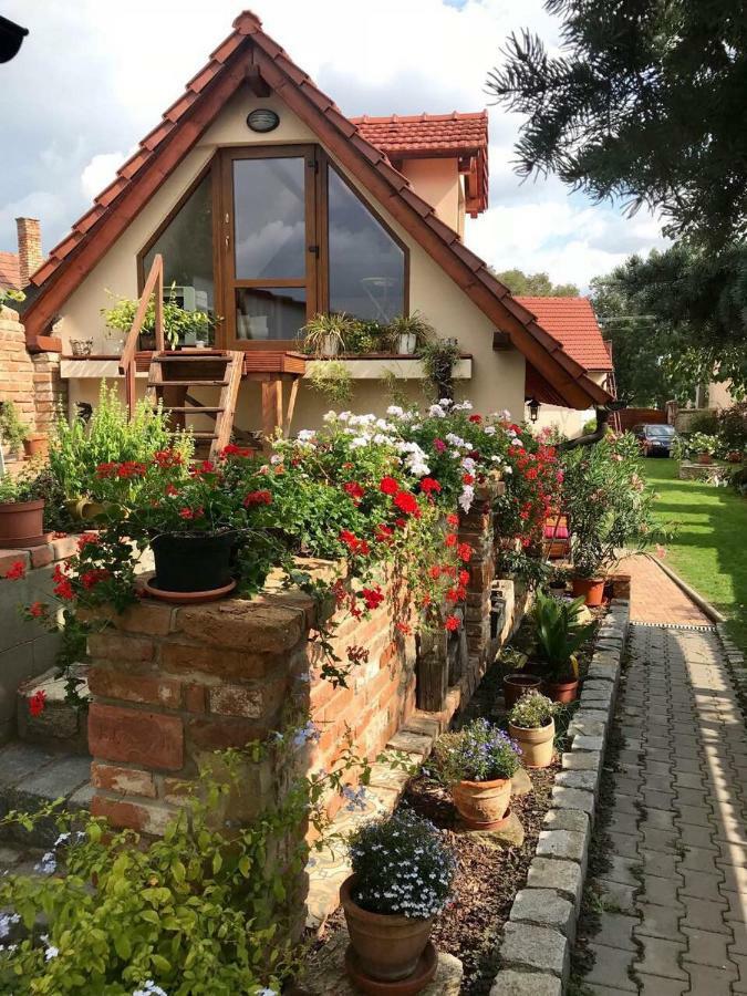 Vinare / At Winemaker's Apartment Rohatec